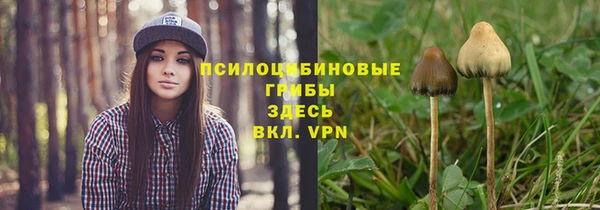 прущая мука Пролетарск