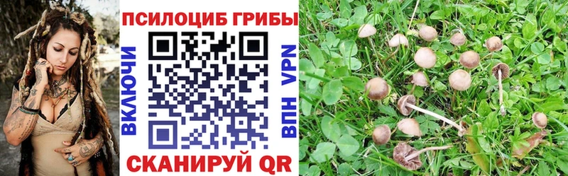 МЕГА маркетплейс  Ворсма  Галлюциногенные грибы Magic Shrooms 